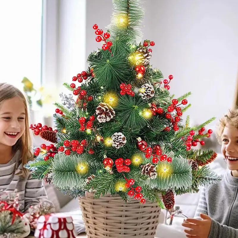 Lumières de jardin d'arbre de Noël avec 20 baies et cônes enrichis, décoration de paysage, batterie 62