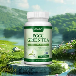 Green Tea Extract Capsules - 45% EGCG - Provide Energy, Promote Metabolism, and Manage Weight