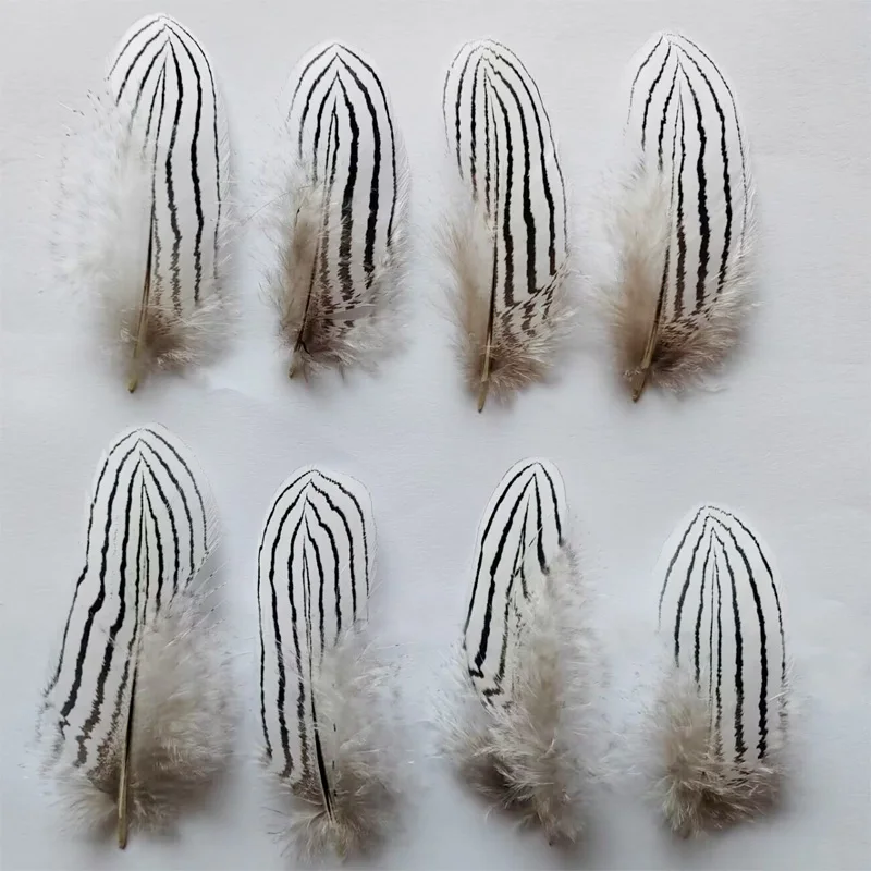 50 sztuk / partia! 4-12 cm Długi naturalny pióropusz, SREBRNY krzepnięta BODY PLUMAGE FEATHERS Natural White Black Fly / Fishing / Craft