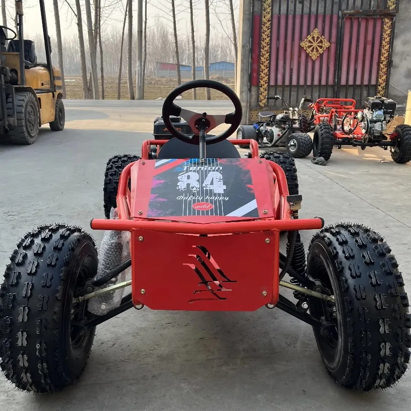212cc 10-inch Steering Wheel Large Adult Racing Kart with Differential and Dual-Disc Braking System All-Terrain Off-Road Kart