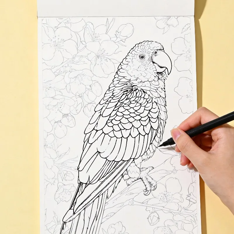It Is A Zen Inspired Fine Line Drawing Coloring Book and An Adult Stress Relieving Hand Drawn Coloring Book, 24 Pages, Nice Gift