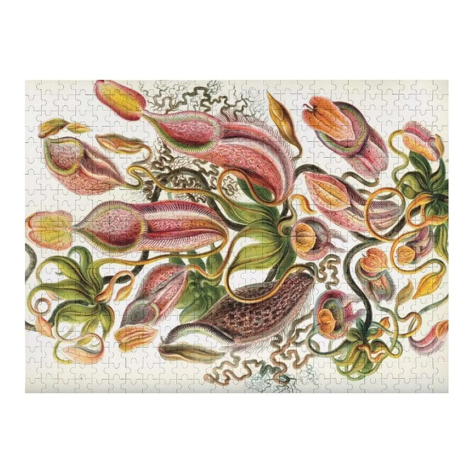 

Haeckels кувшин растения головоломка фото на заказ рождественские игрушки лес для взрослых головоломка