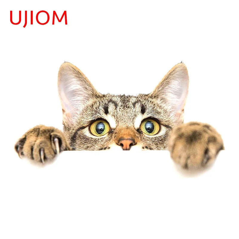 UJIOM European Shorthair Cat Peeping Wall Sticker Window Glass Decal Bedroom Waterproof And Scratchproof Living Room Decoration