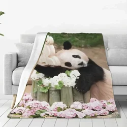 Fubao Panda Fu Bao Animal Blanket Miękkie pluszowe koce Sherpa do łatwej pielęgnacji maszyn Podróżny koc do rzucania