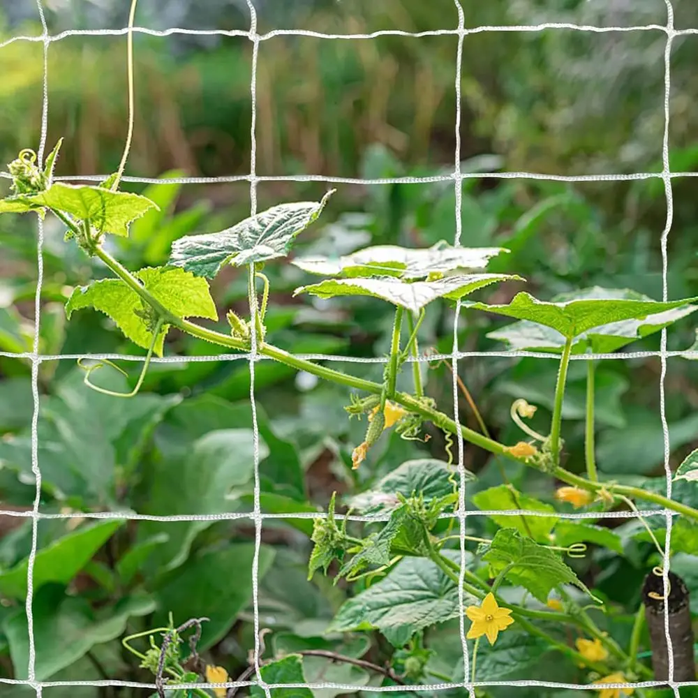 Heavy-Duty Polyester Plant Trellis Netting 5 x 30t (1 Pack)