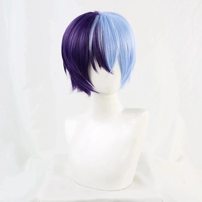 Anime Aoyagi Toya Cosplay Wig Project SEKAI COLORFUL STAGE! Heat Resistant Hair Synthetic Wigs