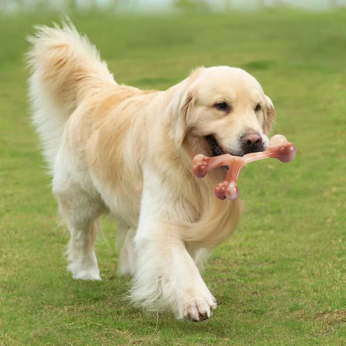 

1 Pack Wishbone Durable Dogs Chew Toy, Nylon Pet Toys For Small Medium Large Dogs Bite Resistant Pet Chew Dental Cleaning Toy