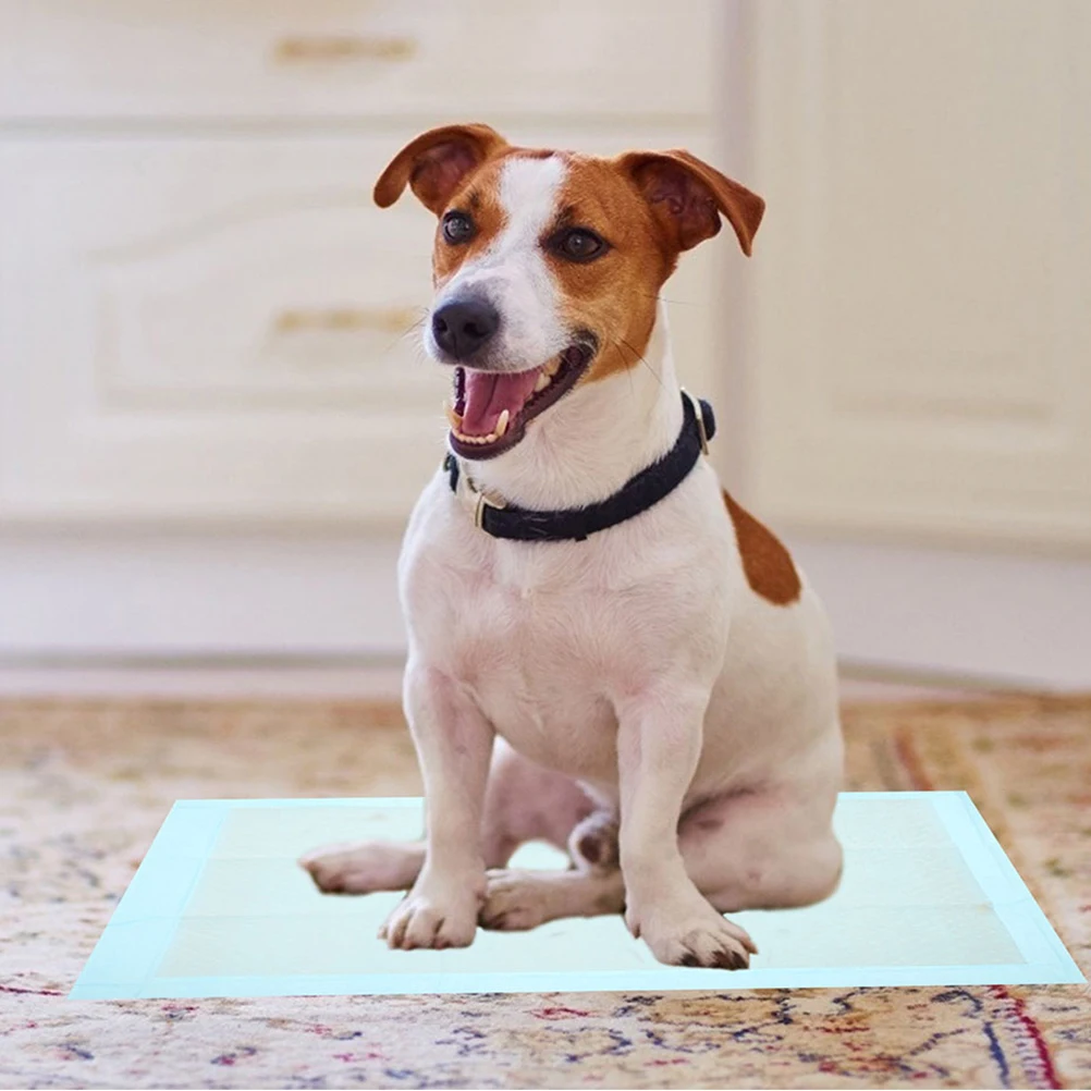 

100Pcs Pet Training Pads Super Absorbent Leak Proof Disposable Puppy Pads Indoor Dog Cat Potty Training Essentials