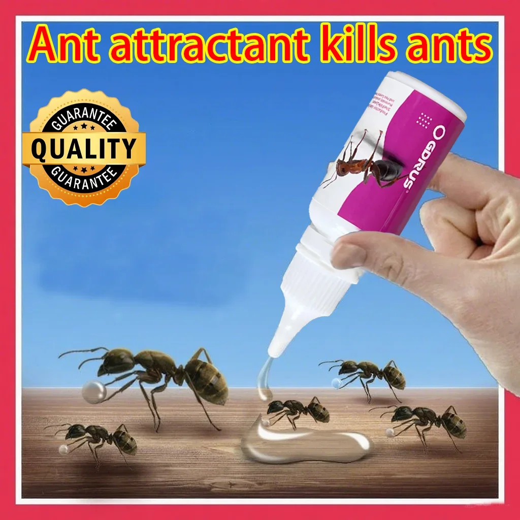 Il Gel Trappola Per Formiche Con Esca Per Formiche Può Eliminare Rapidamente Le Formiche Gel Per Formiche Pronto All'uso Terro Formiche Killer Gel Raid Max Esche Per Gel Per Formiche