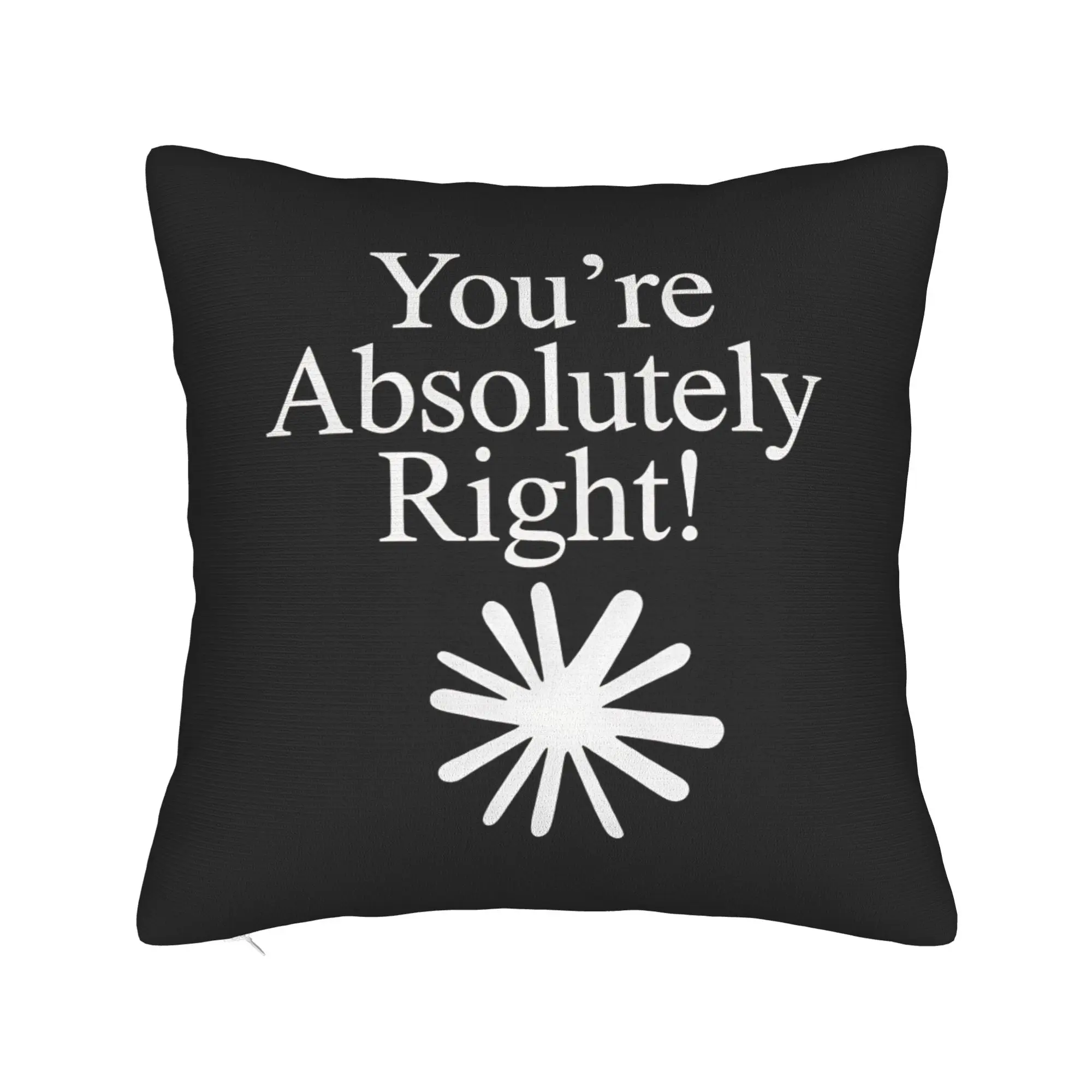 Pillow Cover Claude AI Coder Programmer Joke  Kawaii Pillow Case For Wedding Party Home Decor Pillowcases