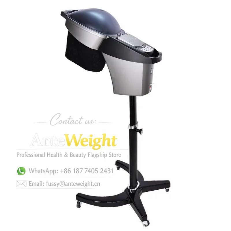 Professional O3 Ozone Micro Mist Hair Steamer with Salon Red/Blue LED Lights Hair Treatment Steam Feature