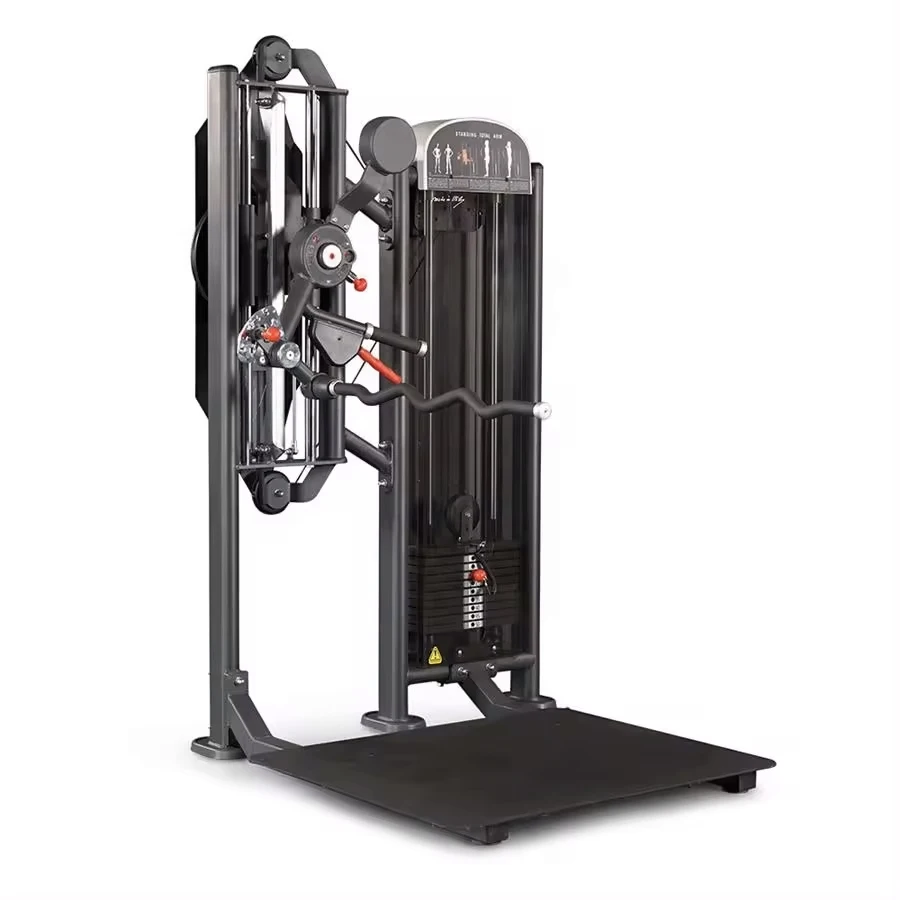 

Hot Seller Steel Arm Training Biceps Triceps Machine Gym Equipment with Adjustable Features Standing Total Arms Machine