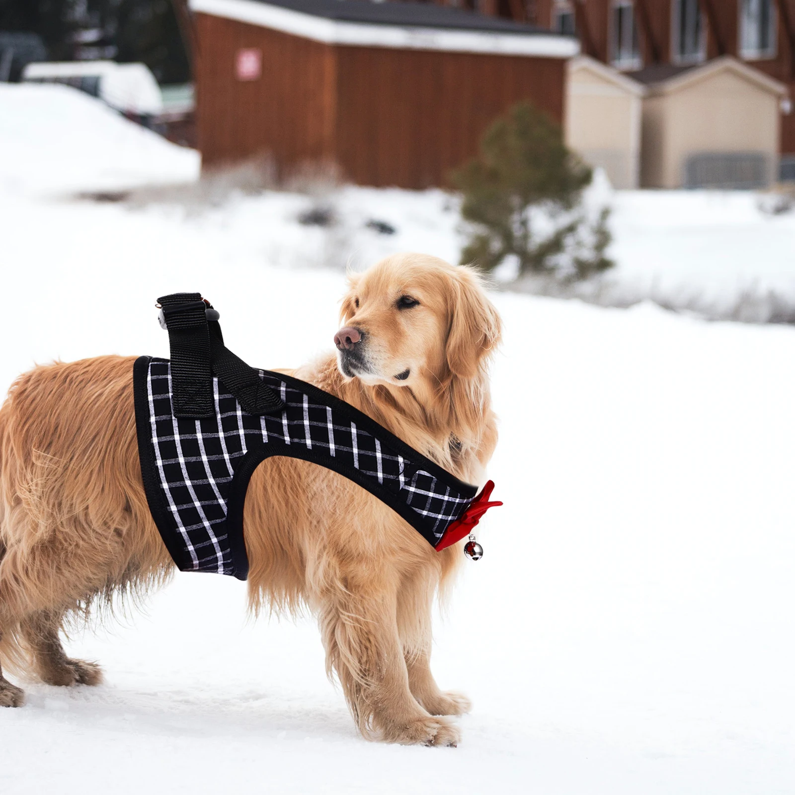 

Dog Vest Harness Set Pet Chest Strap For Small Dogs Puppies Squirrels Walking Comfortable Durable Bowknot Design Pet Harness