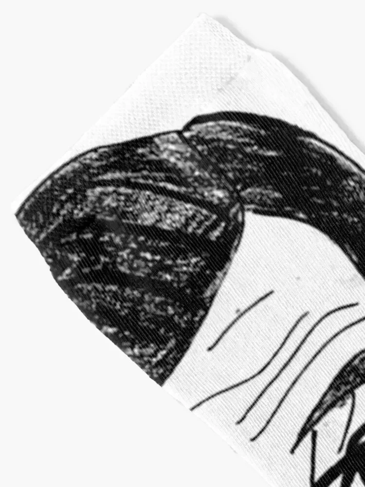 Stephen Colbert Caricature Socks hip hop Running floral winter gifts Socks For Girls Men's