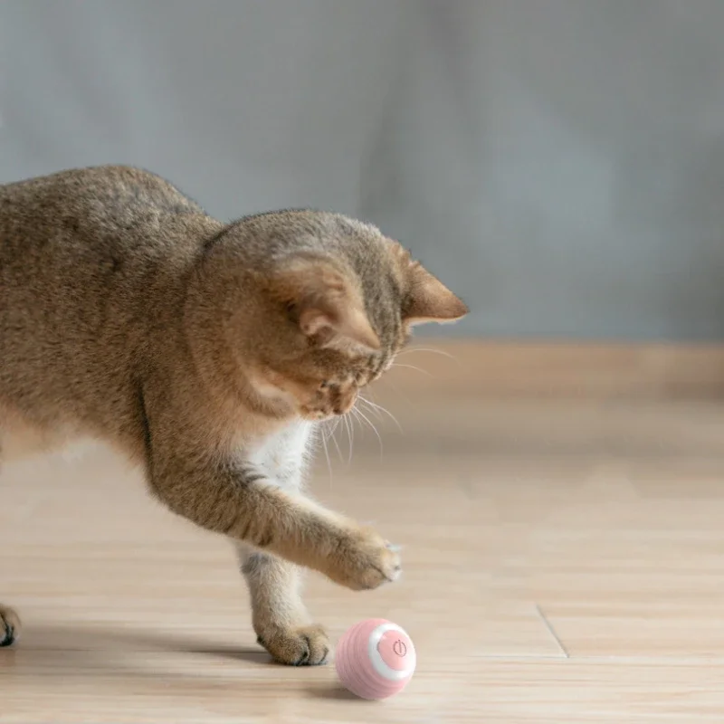 Intelligentes, selbstunterhaltsames Katzenspielzeug, automatisches Katzenzähneknirschen, bissfester Haustierball zur Linderung von Verstopfungen und Beleuchtung