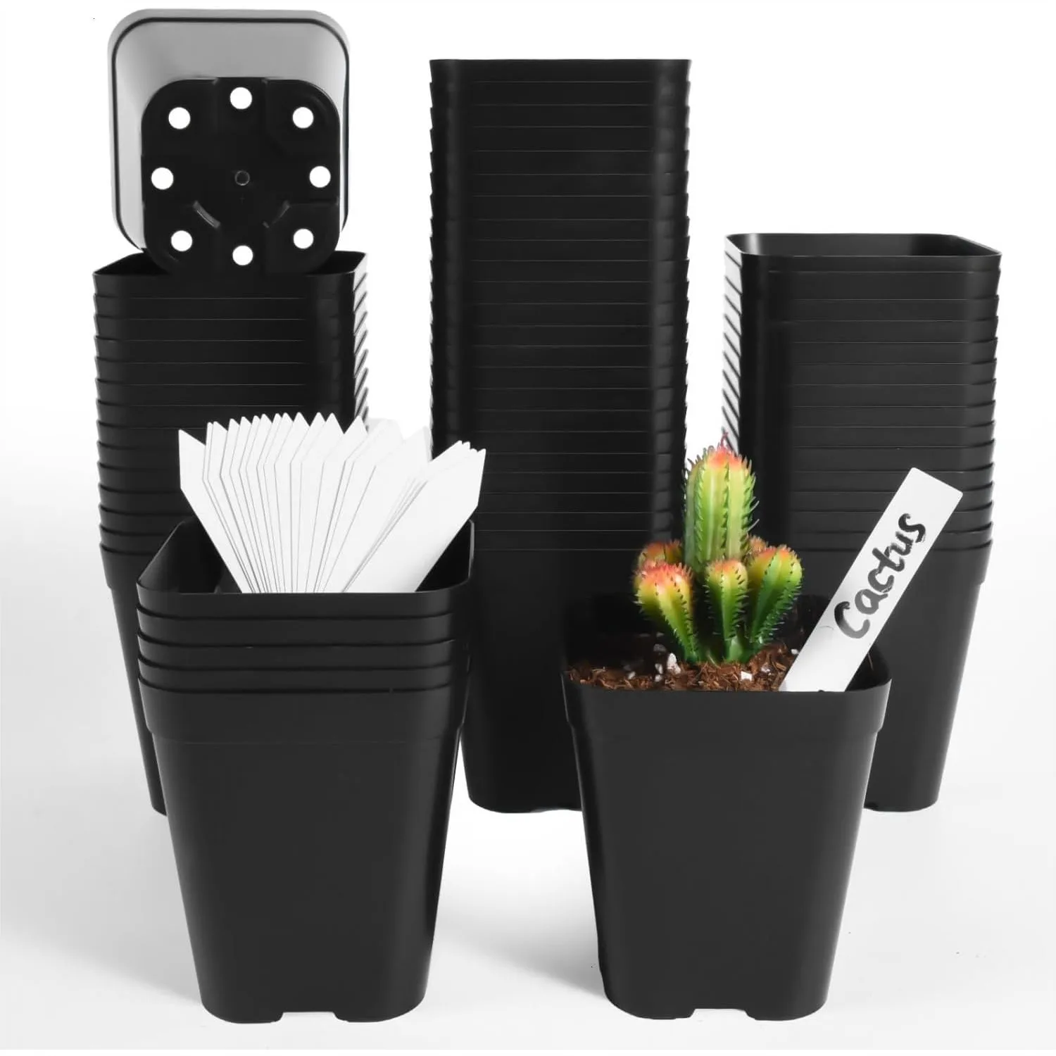 

Plastic Seedling Pots 4 Inch, 60 Pack Square Nursery Pots with Drainage Holes for Seedlings, Succulents, Cuttings