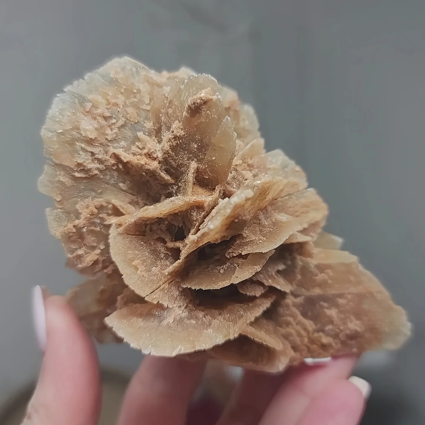 1pc Natural Desert Rose Quartz Mineral Specimen - Bohemian Style Crystal Cluster with Vibrant Mineral Formation