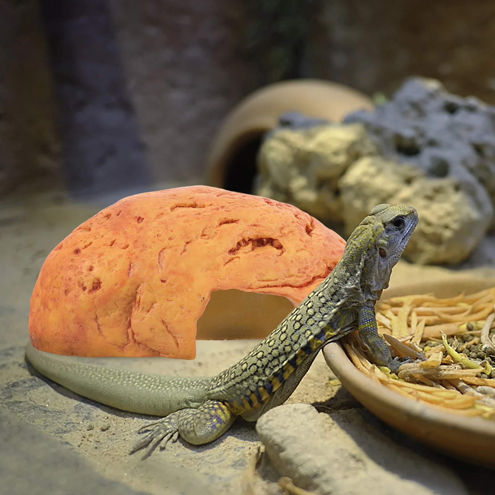 

Resin Hide Cave Reptile Shelter Creative Turtle Basking Platform Durable Resistant Stains Long Lasting Darker Atmosphere Tank