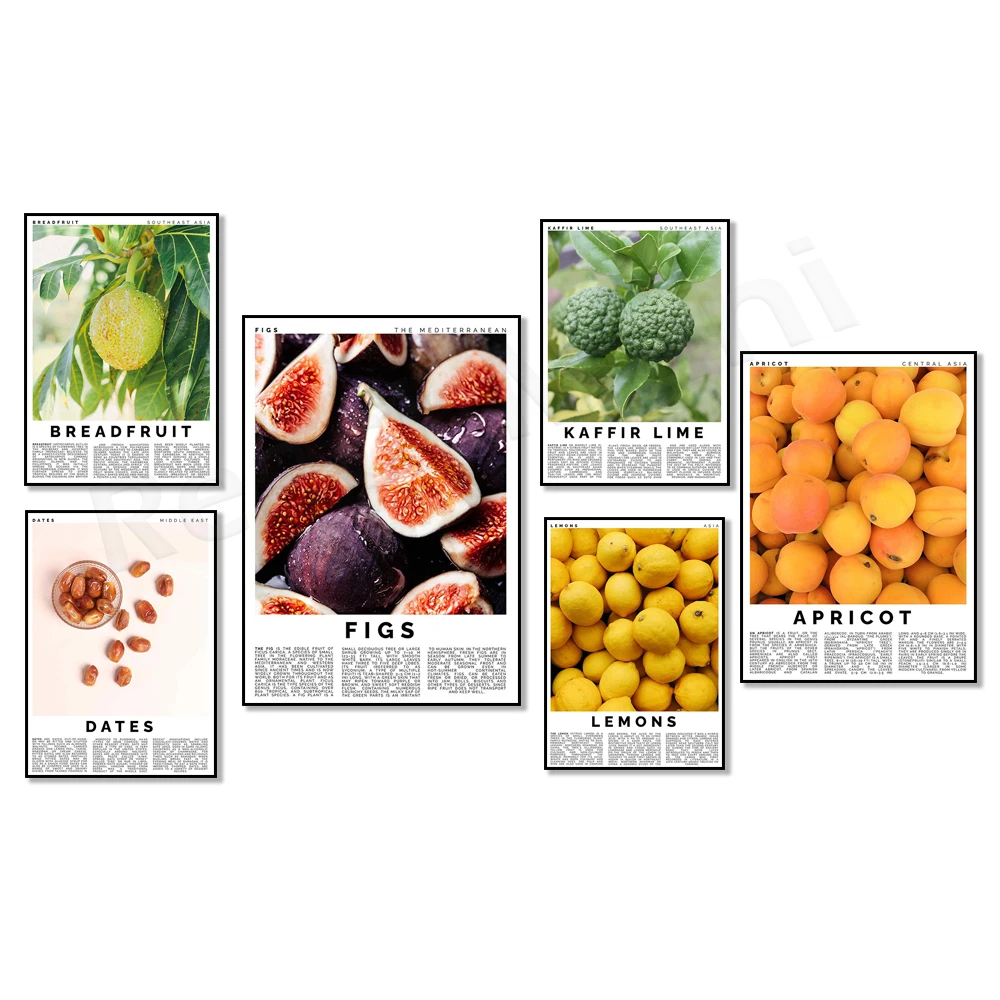 Kaffir lima, pan, panqueca, manzana, ciruela, albaricoque, limón, higo, melocotón, néctarina, cartel promocional de comida de frutas vintage