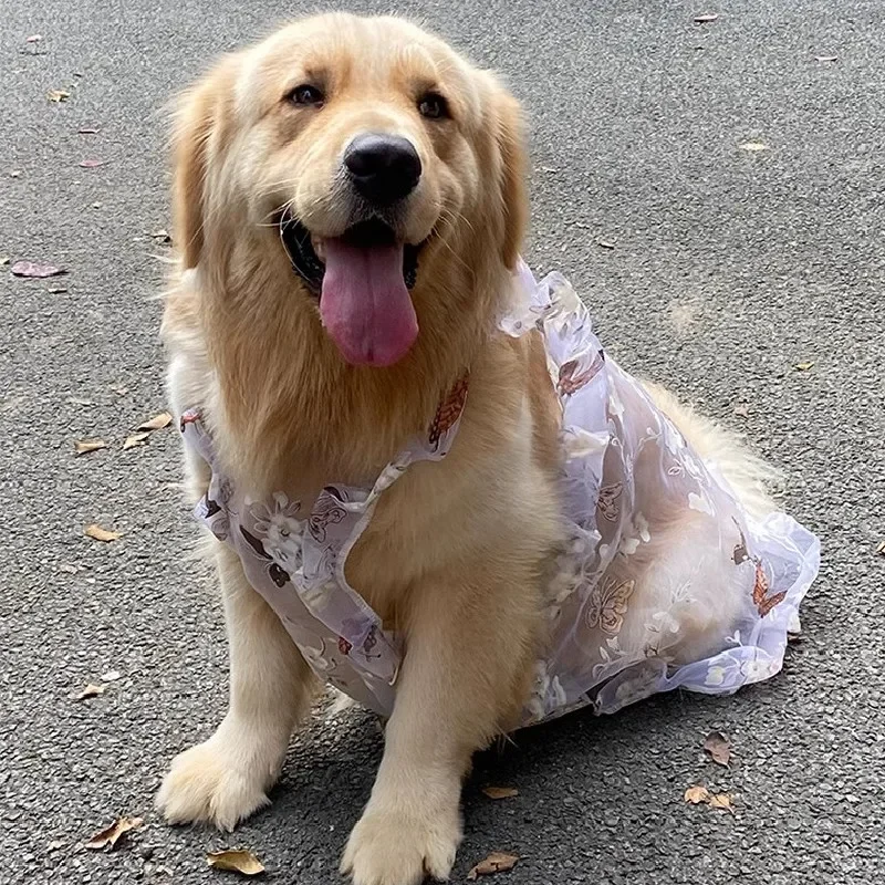 Summer Dog Dress Hat Poodle Schnauzer Bichon Frise Samoyed Border Collie Husky Labrador Golden Retriever Clothes Pet Clothing