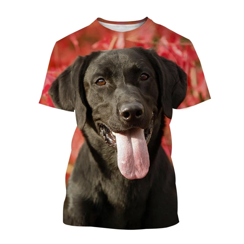 

Men's T-Shirt Animal Graphics Dog 3D Print Labrador Retriever T Shirt Round Neck Short Sleeve Tee Casual Oversized Clothing