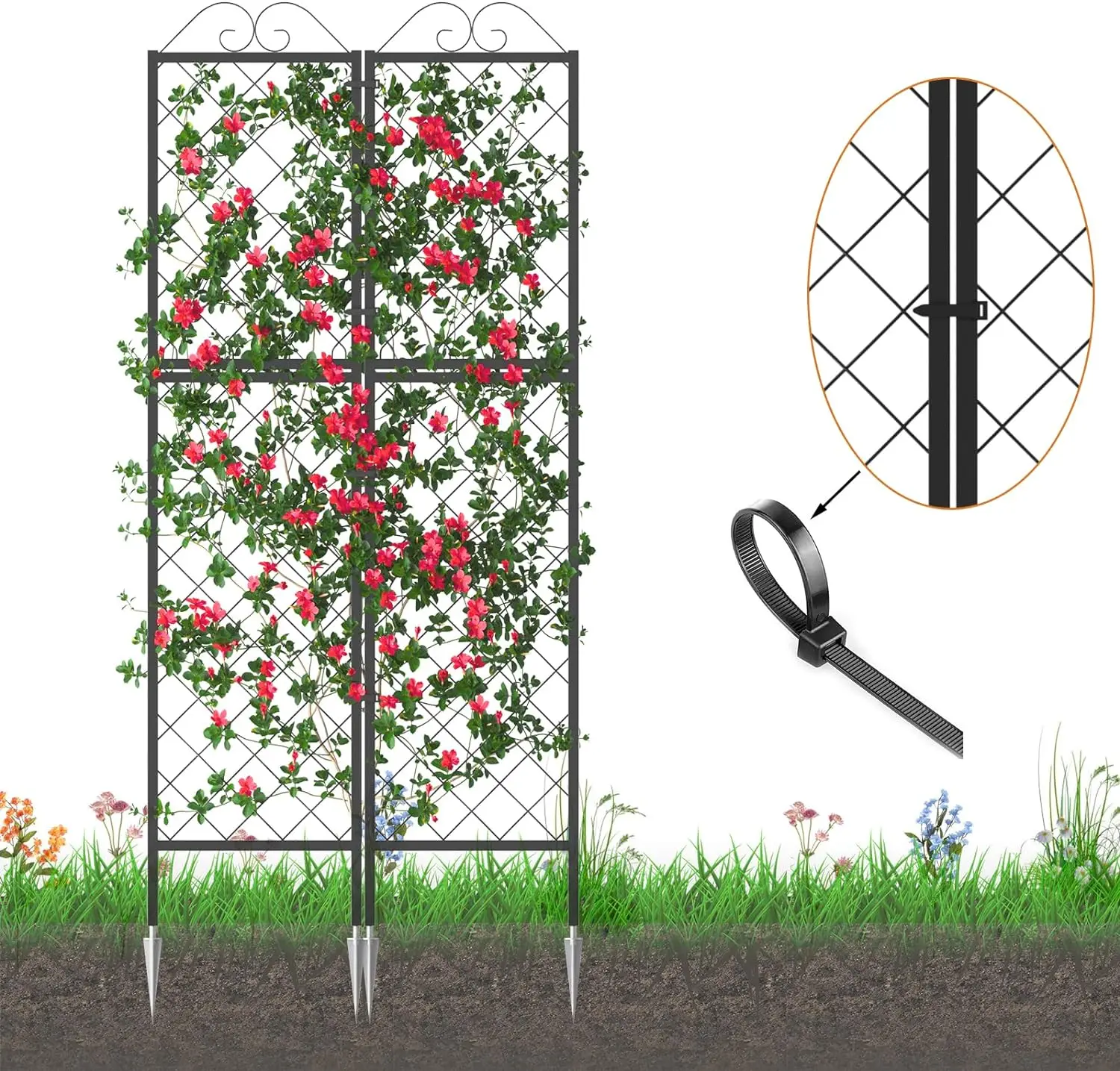 2 Pack Metal Garden Trellises for Climbing Plants, 53.5/77.2inch Tall Metal Fence Plant Support Trellis for Flower and Vagetable