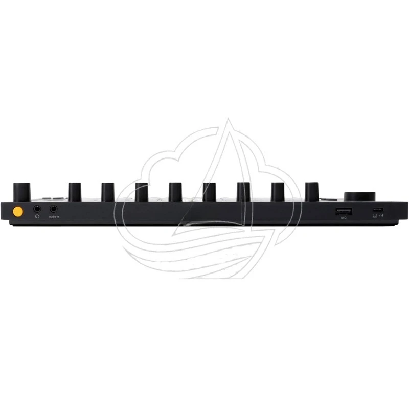 Standalone Music Instrument Portable Arranger with Live 12 Intro Software