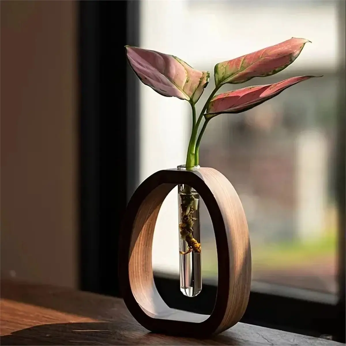 Hydroponic Plant Terrarium Vasevase Decoration Home Glass Bottle Hydroponic Desktop Decoration Green Plant Small Potted