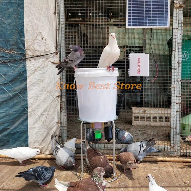 Thumbnail 2 - #14 Trending Automatic Livestock Feeders Right Now