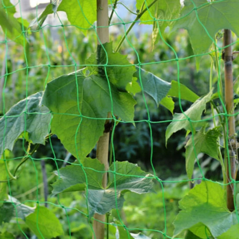 Climbing Plants For Green Plastic Trellis Netting Commercial Grade Trellis Netting Breeding Net