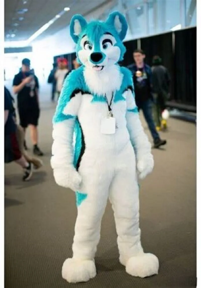 

High quality long fur Husky mascot with adult fox playing fox headgear