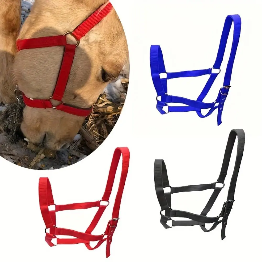 Adjustable Horse Halter Durable Nylon Equestrian Bridle Easy To Wear Wear Resistant Horse Training Rope Horse Training