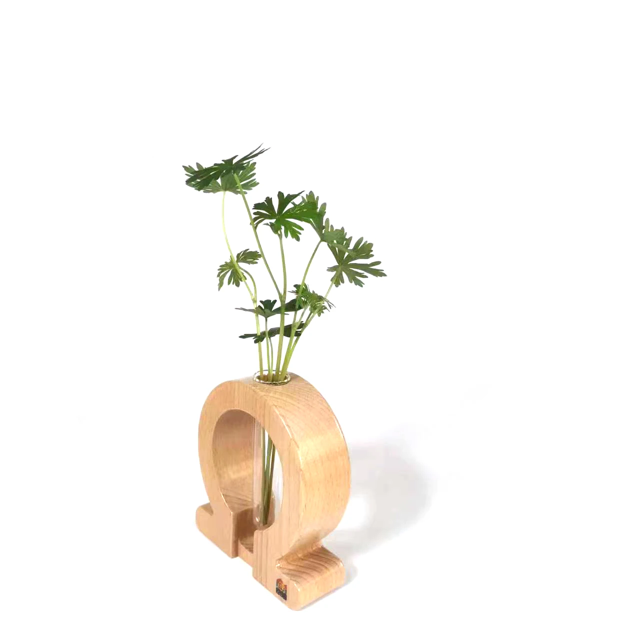 Hydroponics vase-Ω wooden crafts furniture accessories  Propagation station, propagation, Plant vase new deisign