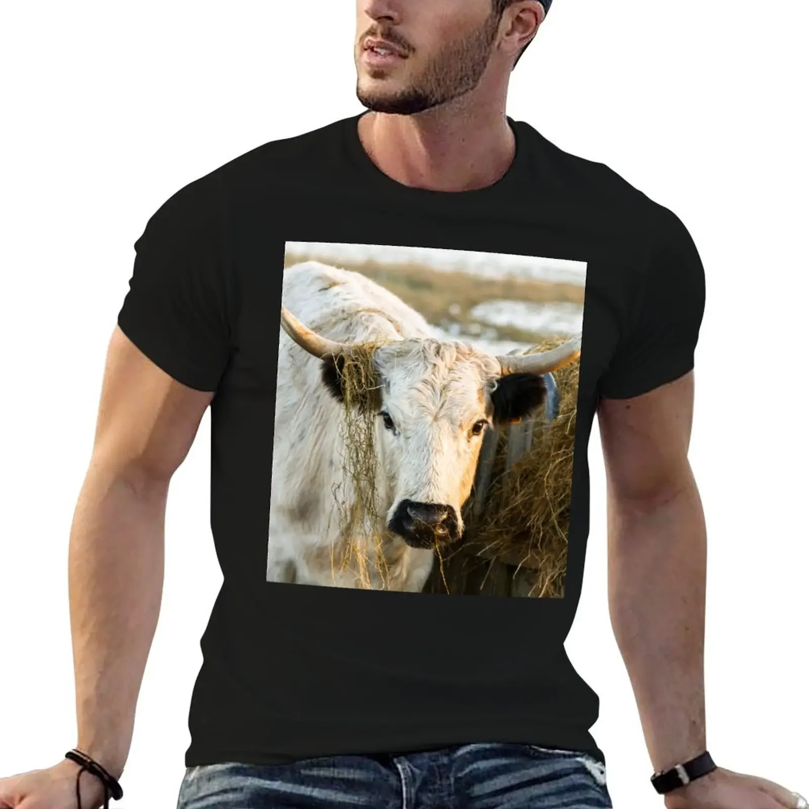 

White Park Cow T-Shirt animal prinfor boys sublime anime stuff big and tall t shirts for men