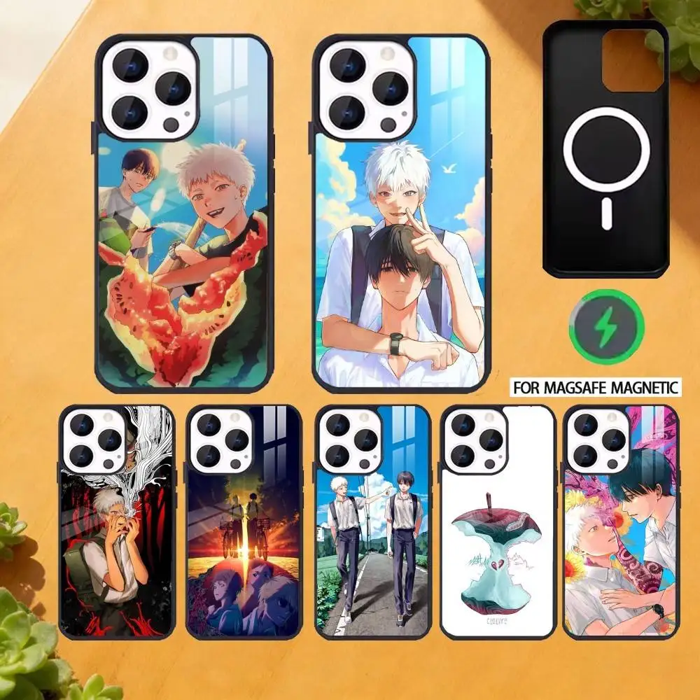 

The Summer Hikaru D-Died Comic Phone Case For iPhone 17 16 15 14 13 12 Pro Max Plus for Magsafe Mirror Wireless Magnetic Cover