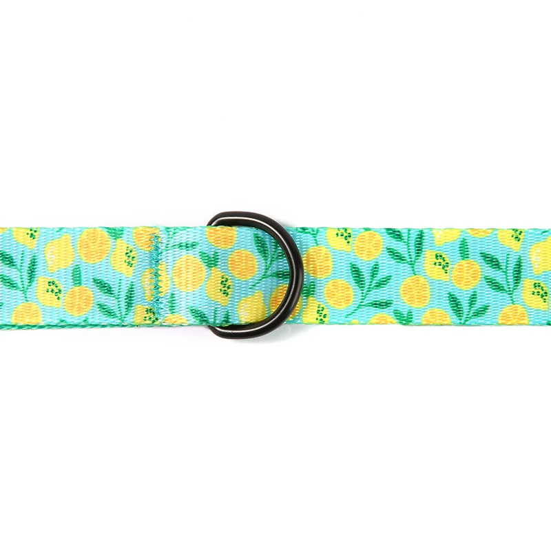 PLATTCO personalized color printing LEMON TEASE soft imitation nylon dog leash durable for small medium large dogs 5 size PDL329