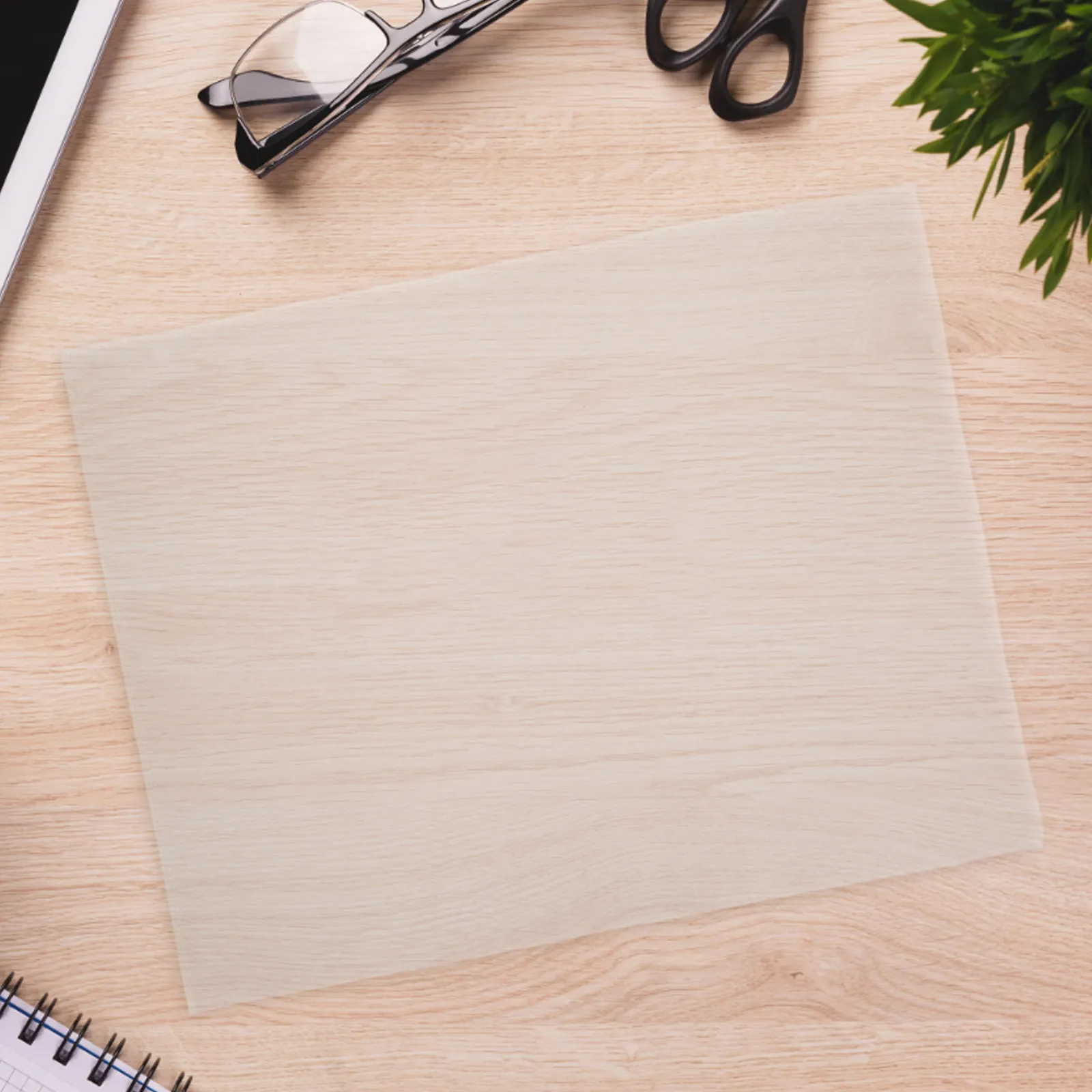 40Pcs PVC Transparent Refill Pages 4-Hole 3-Pocket Clear Sheets for Money Organizer Banknote Collection Album Invoice Storage