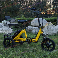 14 Inch Folding Adult Tricycle Electric Pedal Assist Lithium Battery City Commuter Bicycle Lightweight Compact
