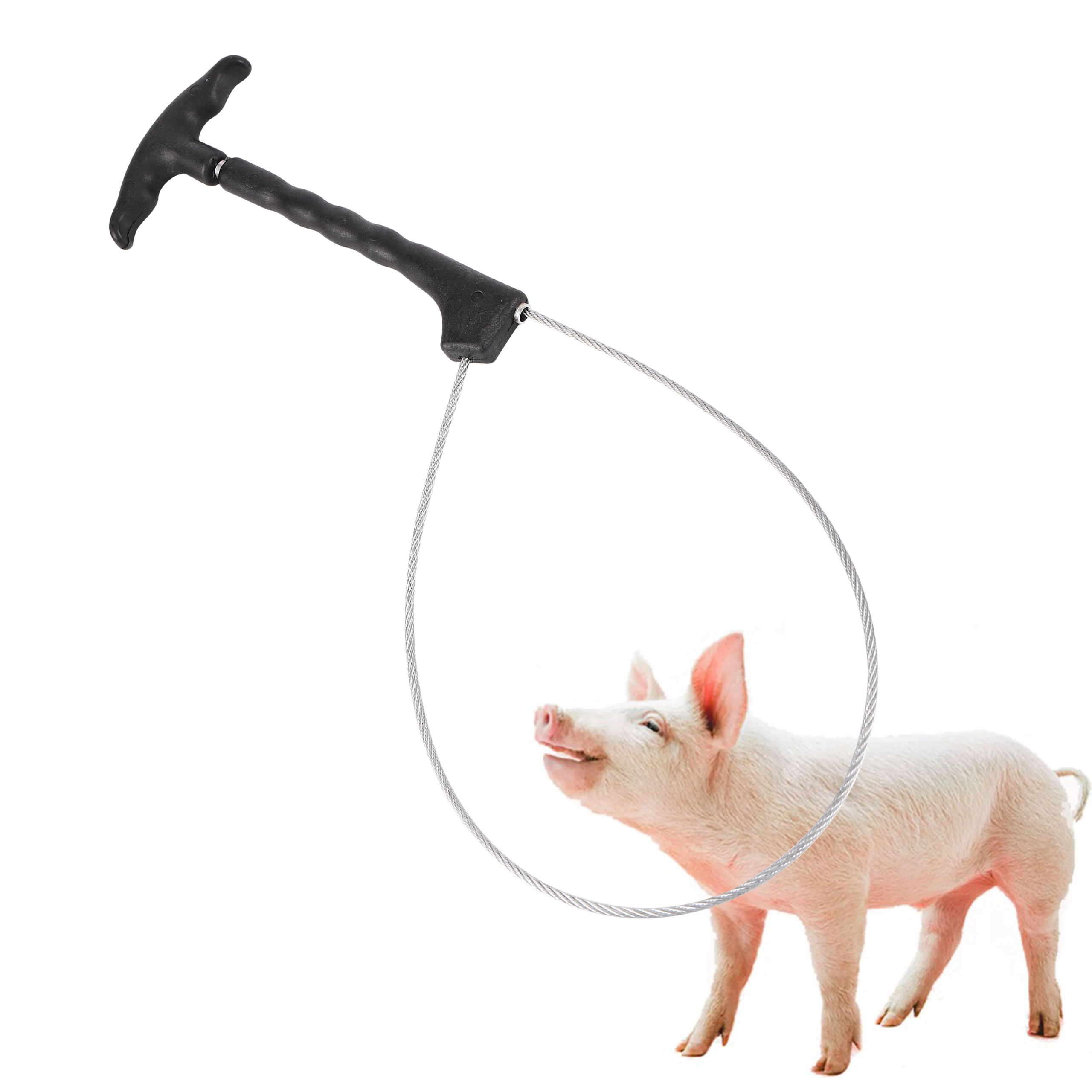 1 Pc Livestock Pig Baoding Set Pig Fixed Rope Veterinary Equipment Sleeve Stockbreeding Tool For Piglet Restraint Effect