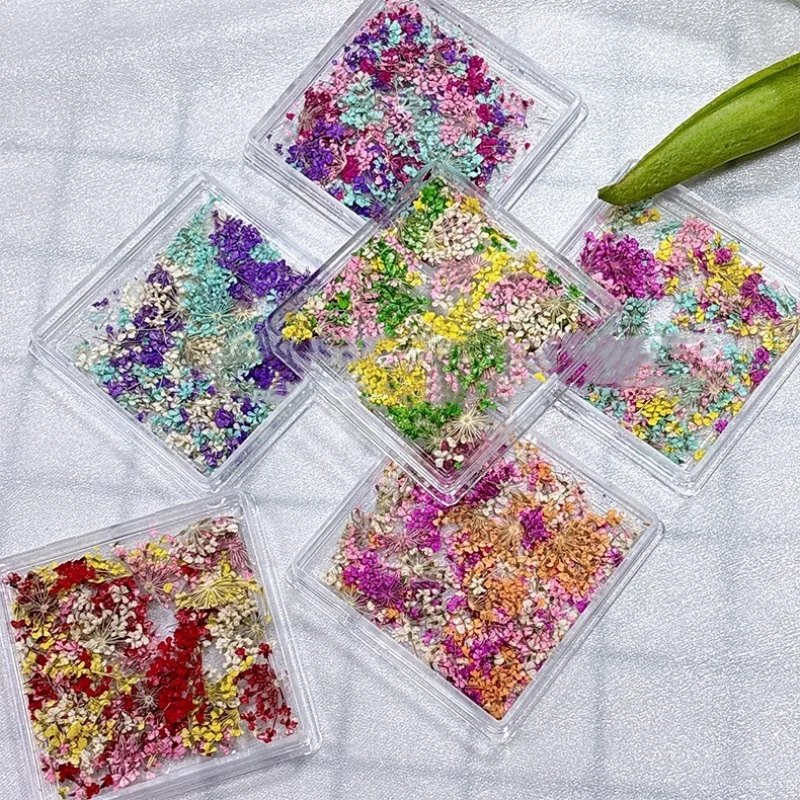 

Nail Art DIY Decorations Japanese Style Gel Dried Flower For Nails Art Jewelry Charms Flower Beauty Salon Decoration