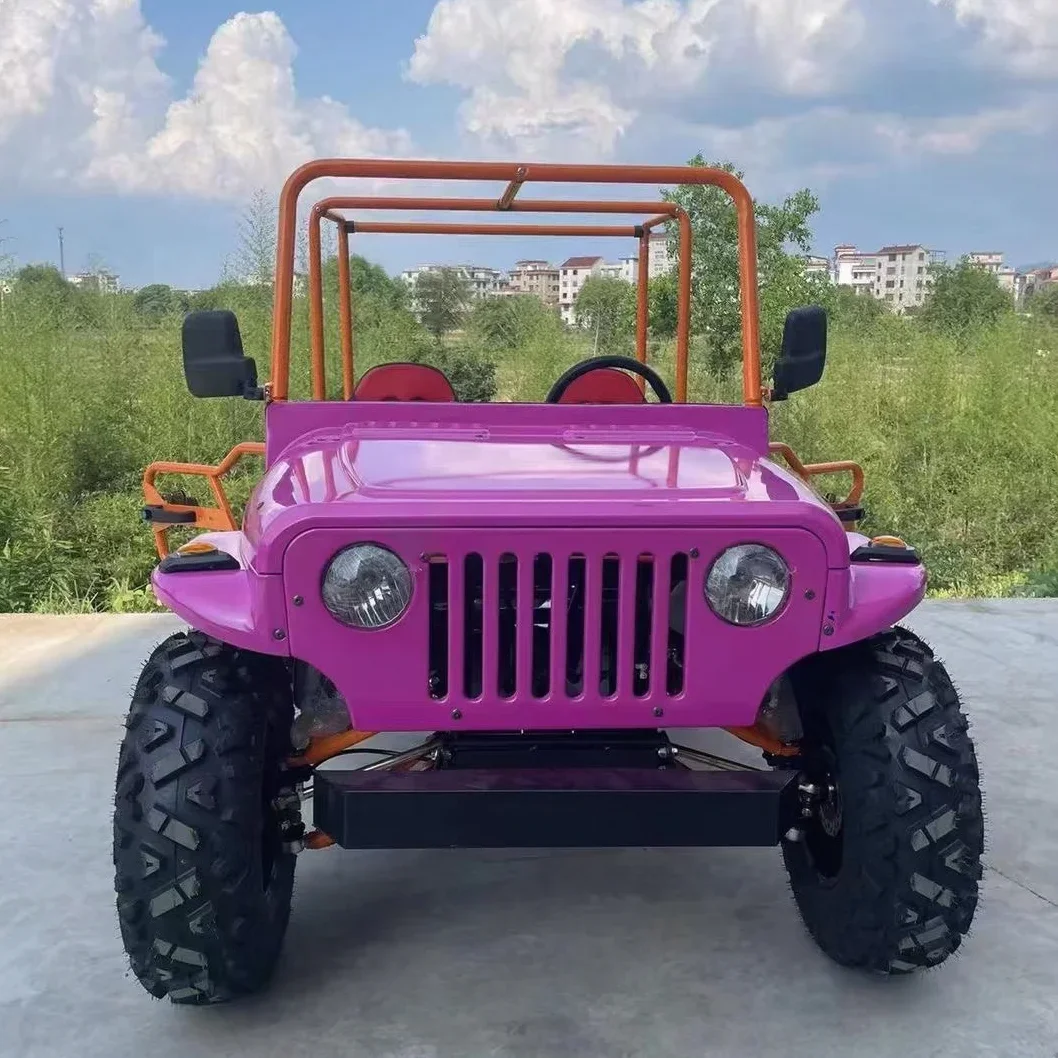 Automatic Buggy Electric Mini  Battery 200cc 250cc 300cc 350cc Petrol Adults Kids Cart  Control Car