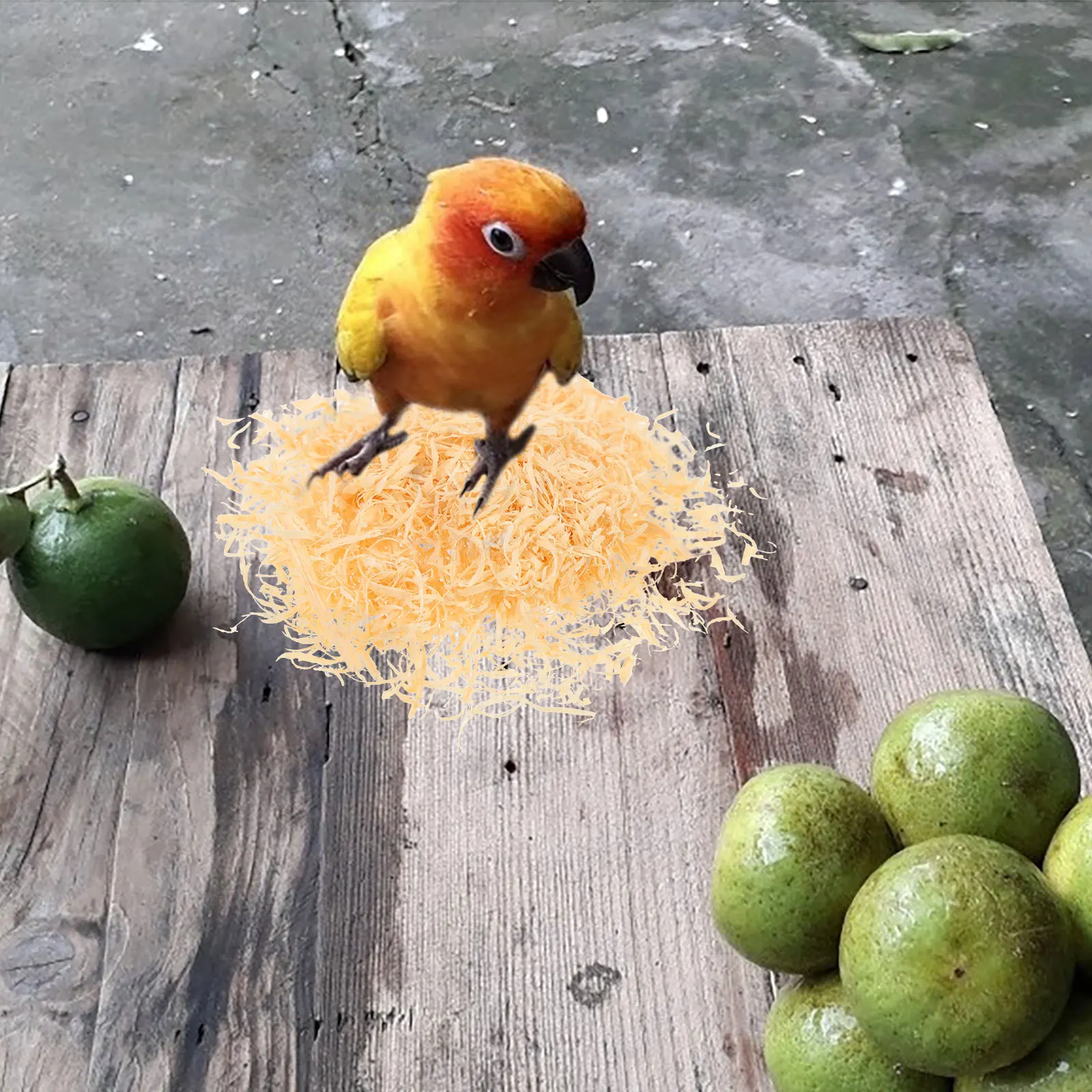 

Bird Nesting Cushion Must Have Grass Silk Accessory Bamboo Professional Material Supply Supple Pad