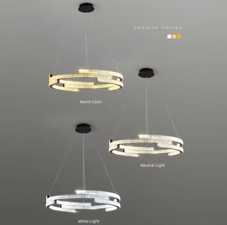 Modern Simple Led Chandelier For Living Room Bedroom Dining Room Kitcchen Lamp Black Round Ring Geometry Design Pendant Light