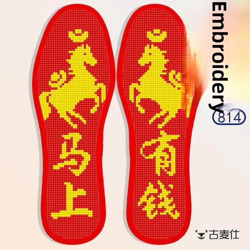Hand Embroidered Cross Stitch Shoe Insoles Wish for Academic Success Non Finished Product for Students Exam Gifts Children Teens