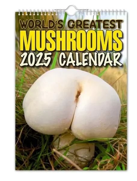 New Year Gifts 2025 World Greatest Mushrooms Calendar Paper Time Planning Wall Calendar Gift Wall Decor Hanging Calendar