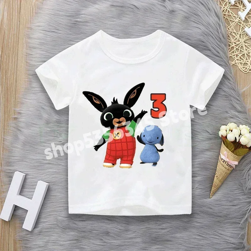 Bing Rabbit Birthday Shirt Number 1-9 Birthday T-Shirt Summer Tee Girls Boys Party Tops Red Rabbit Theme Kids Gifts Clothes