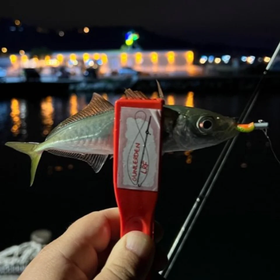 MUKUN Fishing Lure mini Soft Worm Shrimp Jerkbait 10pcs 0.3g 4cm Ocean Rock lure bass soft fish Ajing lure