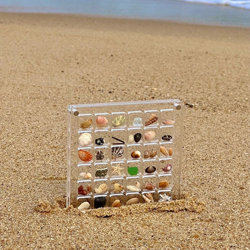 36/64/100 Shells Acrylic Clear Magnetic Storage Box Seashell Display Showcase Mini Jewelry Display Case Organizer Dropshipping