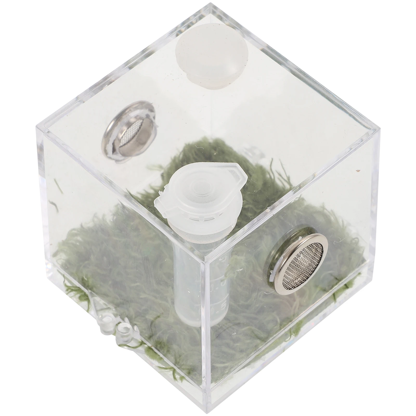 

1 set Clear Jumping Spider Enclosure Box Acrylic Reptile Habitat Cage Lightweight Insect Feeding Container For Geckos Crickets
