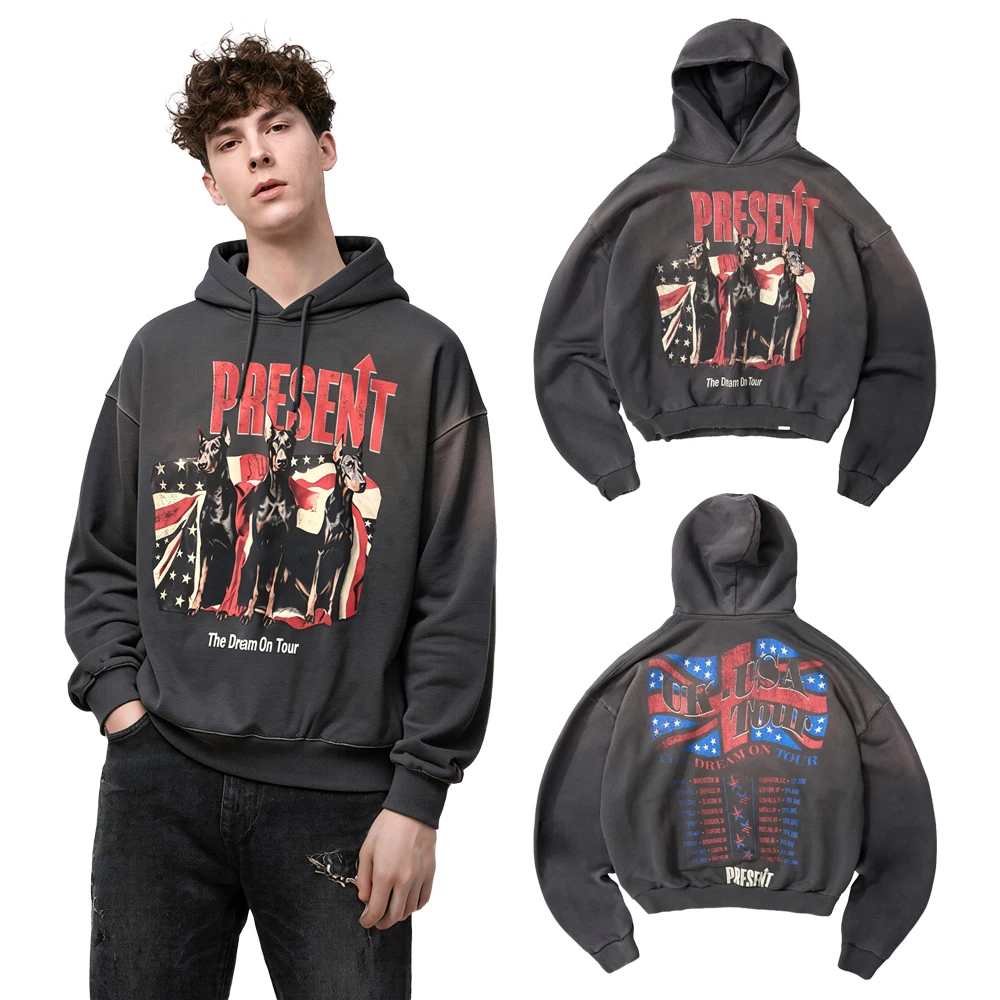 Y2k Streetwear Street Dog Art Graphic Hoodies American Hiphop Street Style Heavy Weight Cotton Vintage Distressed Casual Hoodies